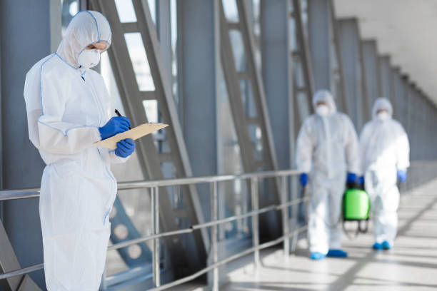 Best Attic Mold Removal  in Englishtown, NJ