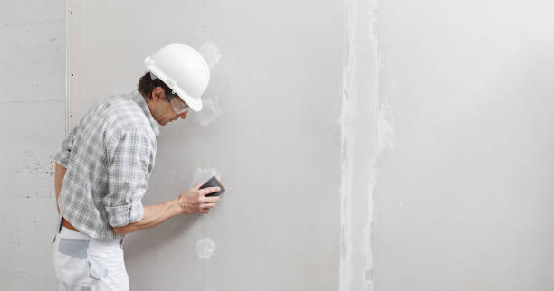 Best Commercial Mold Inspection  in Englishtown, NJ