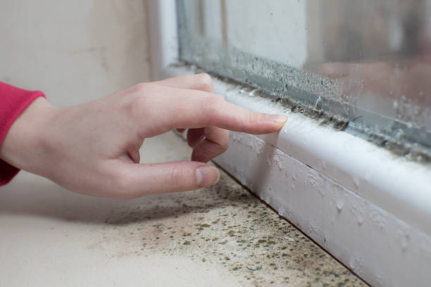 Asbestos and Lead Testing During Mold Inspection in Englishtown, NJ