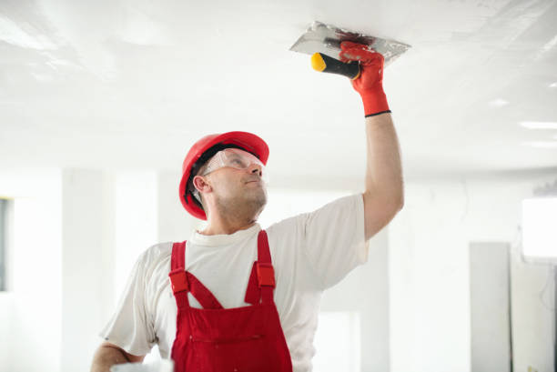 Reliable Englishtown, NJ Mold Removal Solutions