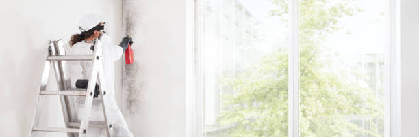 Best HVAC Mold Inspection and Cleaning  in Englishtown, NJ