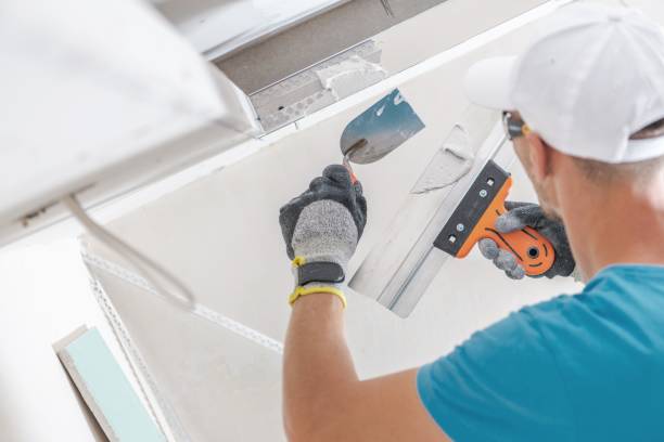 Mold Odor Removal Services in Englishtown, NJ